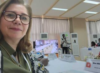 Diplomatie parlementaire : Amel Meddeb plaide pour une approche active de la paix au sein de la francophonie