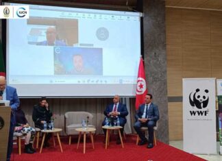 Béjaïa accueille un atelier algéro-tunisien stratégique sur la biodiversité et le changement climatique