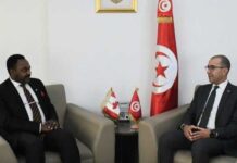 Tunisie-Canada : Vers le renforcement de la coopération dans le secteur énergétique