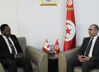 Tunisie-Canada : Vers le renforcement de la coopération dans le secteur énergétique