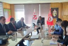 Export et innovation : Cepex s’allie à Tunisia Technoparks pour soutenir les entreprises