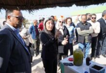 Tunisie : 500 tonnes d’engrais produites grâce au programme national de compostage en 2025