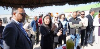 Tunisie : 500 tonnes d’engrais produites grâce au programme national de compostage en 2025