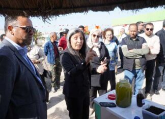 Tunisie : 500 tonnes d’engrais produites grâce au programme national de compostage en 2025