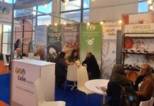 Djazagro 2026 : les exportateurs tunisiens renforcent leur présence sur le marché algérien