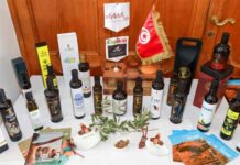 Tourisme et gastronomie : le Cap Bon vise le titre de Capitale mondiale en 2028