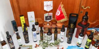 Tourisme et gastronomie : le Cap Bon vise le titre de Capitale mondiale en 2028