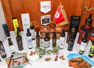 Tourisme et gastronomie : le Cap Bon vise le titre de Capitale mondiale en 2028