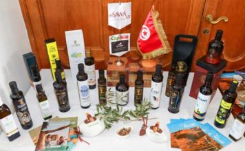 Tourisme et gastronomie : le Cap Bon vise le titre de Capitale mondiale en 2028