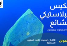Campagne choc : des « espèces invasives » fictives dénoncent les déchets plastiques en Méditerranée