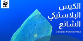 Campagne choc : des « espèces invasives » fictives dénoncent les déchets plastiques en Méditerranée