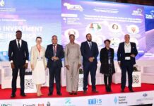 APII : un futur accord avec la RDC pour dynamiser les échanges et les chaînes de valeur africaines