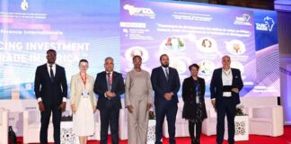 APII : un futur accord avec la RDC pour dynamiser les échanges et les chaînes de valeur africaines
