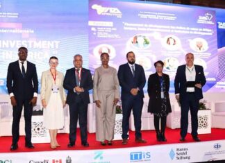 APII : un futur accord avec la RDC pour dynamiser les échanges et les chaînes de valeur africaines