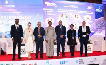APII : un futur accord avec la RDC pour dynamiser les échanges et les chaînes de valeur africaines