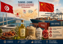 Chine–Tunisie : l’exemption des droits de douane peut-elle booster les exportations tunisiennes ?