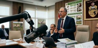 Viande de contrebande, décrets ignorés : pourquoi la gestion étatique aggrave la crise du mouton en Tunisie. Décryptage Crise du mouton
