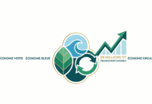 Projets économie verte : la Tunisie lance un financement pouvant atteindre 500 000 DT Economie vert