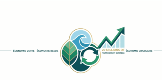 Projets économie verte : la Tunisie lance un financement pouvant atteindre 500 000 DT Economie vert