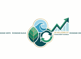 Projets économie verte : la Tunisie lance un financement pouvant atteindre 500 000 DT Economie vert