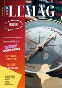 WMC LEMAG 253