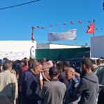 Prix Mouton Aïd Tunisie 2026 : Chronique d’un fiasco au marché de Saïda Mouton AID