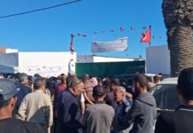 Prix Mouton Aïd Tunisie 2026 : Chronique d’un fiasco au marché de Saïda Mouton AID