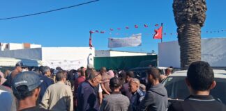 Prix Mouton Aïd Tunisie 2026 : Chronique d’un fiasco au marché de Saïda Mouton AID