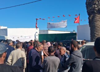 Prix Mouton Aïd Tunisie 2026 : Chronique d’un fiasco au marché de Saïda Mouton AID