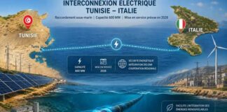 Tunisie : la CDN 3.0 mise sur une transition énergétique massive pour réduire de 62 % l’intensité carbone d’ici 2035