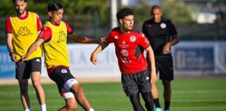 Mondial 2026 : la FTF renforce le staff des Aigles de Carthage avec Fayçal Khachnaoui et Morgan Ancian