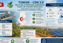 Tunisie : un plan climatique de 55 milliards de dollars pour renforcer la résilience d’ici 2035