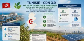 Tunisie : un plan climatique de 55 milliards de dollars pour renforcer la résilience d’ici 2035