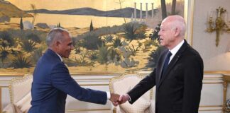 Diplomatie : la Tunisie et la Mauritanie veulent diversifier leur coopération face aux mutations mondiales