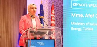 Ministère de l’Industrie : Afef Chachi Tayari habilitée à signer les actes disciplinaires