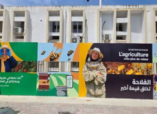 Agridays 2026 : le ministère de l’Agriculture transforme son mur à Tunis pour promouvoir les métiers d’avenir