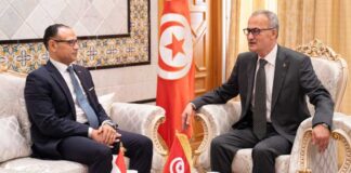 Coopération tuniso-égyptienne : focus sur l’économie, la culture et la coordination diplomatique