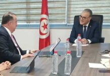 Tunisie–IFC : vers un renforcement de la coopération dans les énergies renouvelables et le climat des affaires