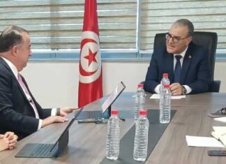 Tunisie–IFC : vers un renforcement de la coopération dans les énergies renouvelables et le climat des affaires