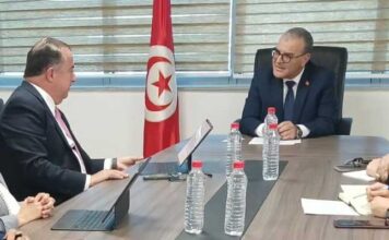 Tunisie–IFC : vers un renforcement de la coopération dans les énergies renouvelables et le climat des affaires
