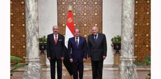 Égypte–Tunisie : Abdel Fattah al-Sissi et Mohamed Ali Nafti renforcent la coopération bilatérale au Caire