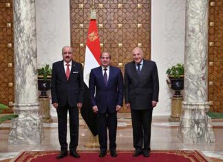 Égypte–Tunisie : Abdel Fattah al-Sissi et Mohamed Ali Nafti renforcent la coopération bilatérale au Caire