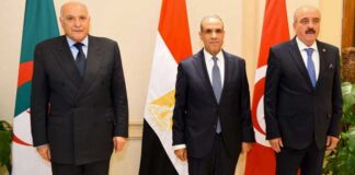 Crise libyenne : le mécanisme tripartite des pays voisins appelle à un règlement sans ingérence étrangère