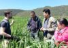 Agroécologie : Comment les «Living Labs» d’El Krib réinventent la recherche agricole en Tunisie