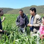 Agroécologie : Comment les «Living Labs» d’El Krib réinventent la recherche agricole en Tunisie