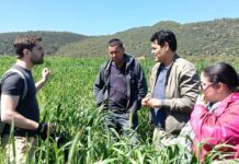 Agroécologie : Comment les «Living Labs» d’El Krib réinventent la recherche agricole en Tunisie