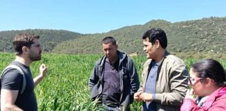 Agroécologie : Comment les «Living Labs» d’El Krib réinventent la recherche agricole en Tunisie