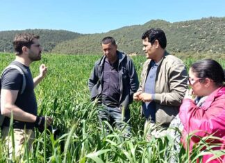 Agroécologie : Comment les «Living Labs» d’El Krib réinventent la recherche agricole en Tunisie