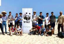 WWF Afrique du Nord alerte sur la pollution plastique des plages avant l’été