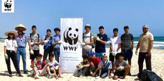 WWF Afrique du Nord alerte sur la pollution plastique des plages avant l’été